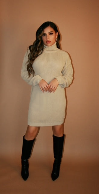 
                  
                    Load image into Gallery viewer, GIA Sweater Dress
                  
                